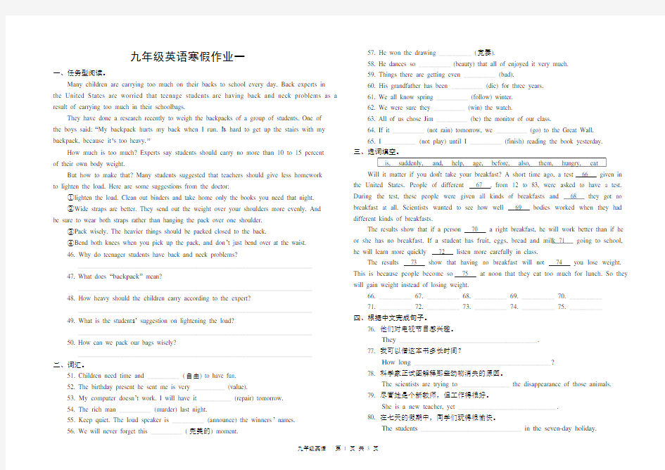 九年级英语寒假作业