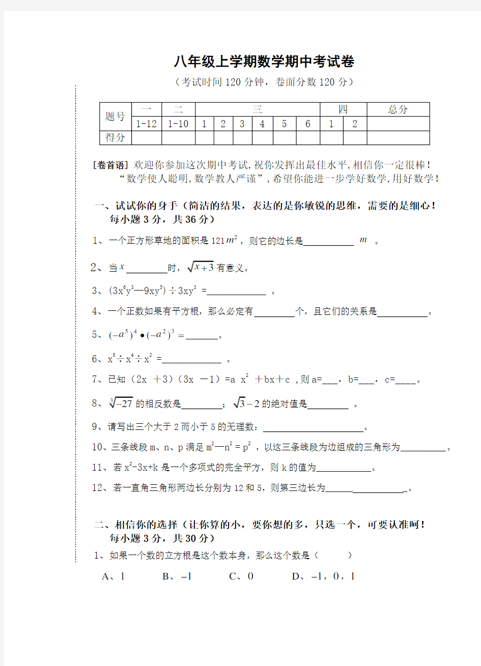 八年级上学期数学期中考试卷