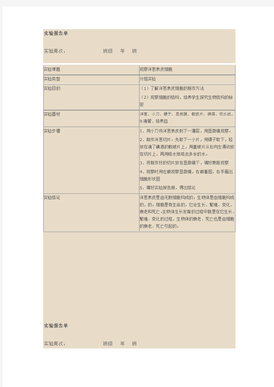 科学实验报告