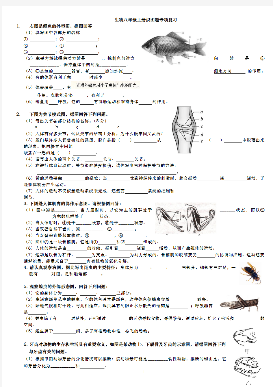 生物八年级上册识图作答专项复习