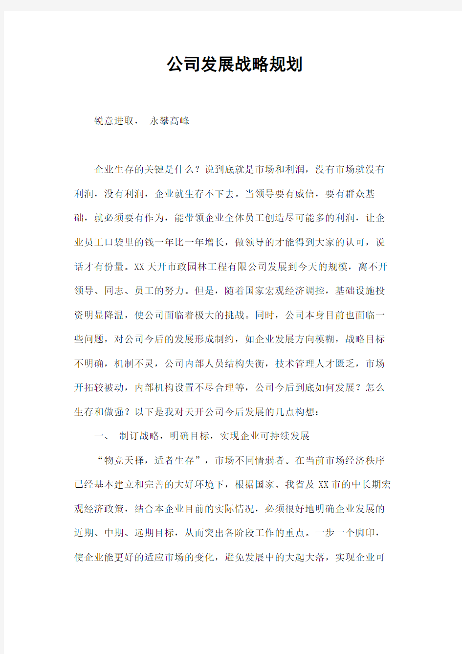 公司发展战略规划