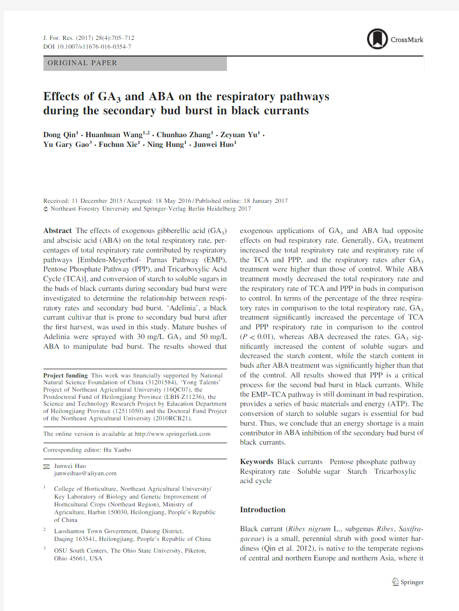 Effects of GA3 and ABA on the respiratory pathways during the secondary bud burst in black currants