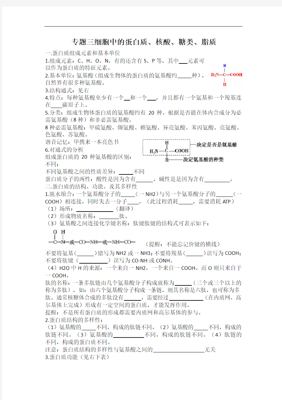 专题三细胞中的蛋白质