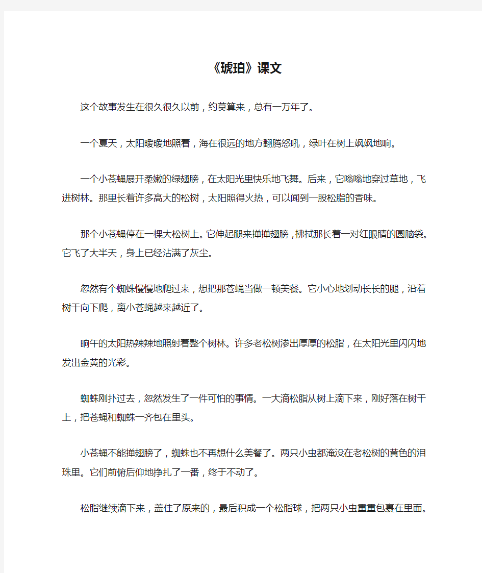 《琥珀》课文