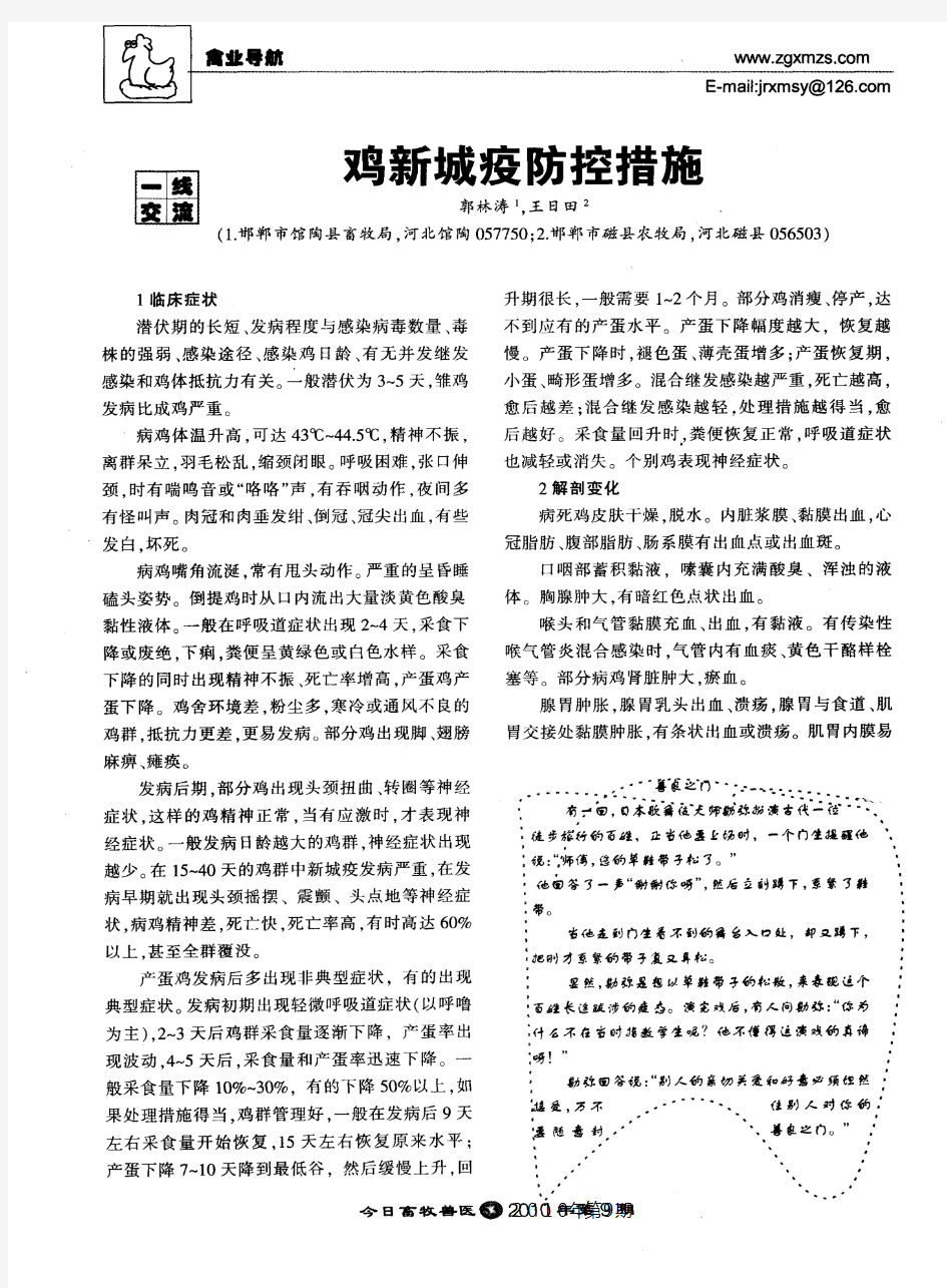 鸡新城疫防控措施