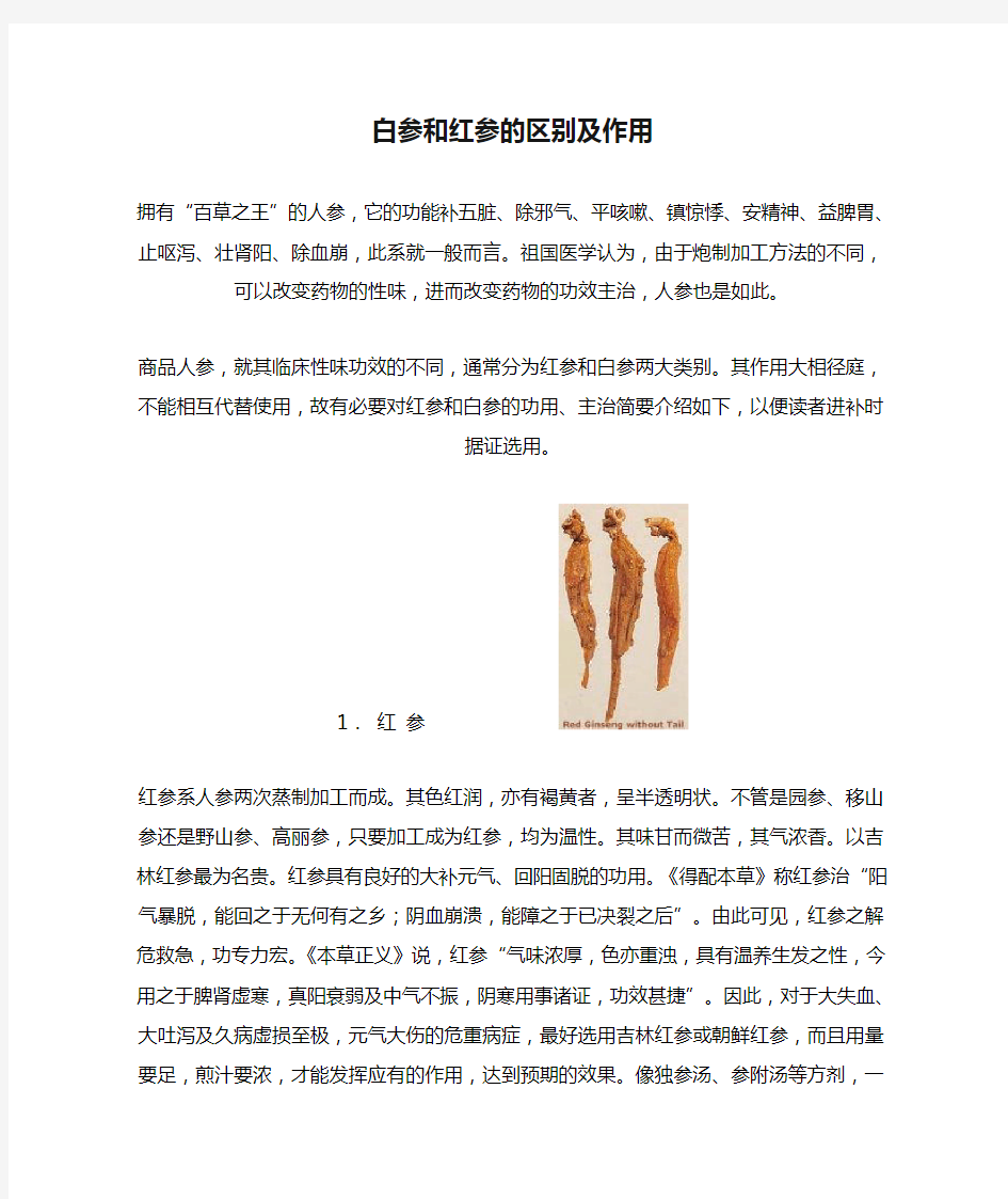 白参和红参的区别及作用