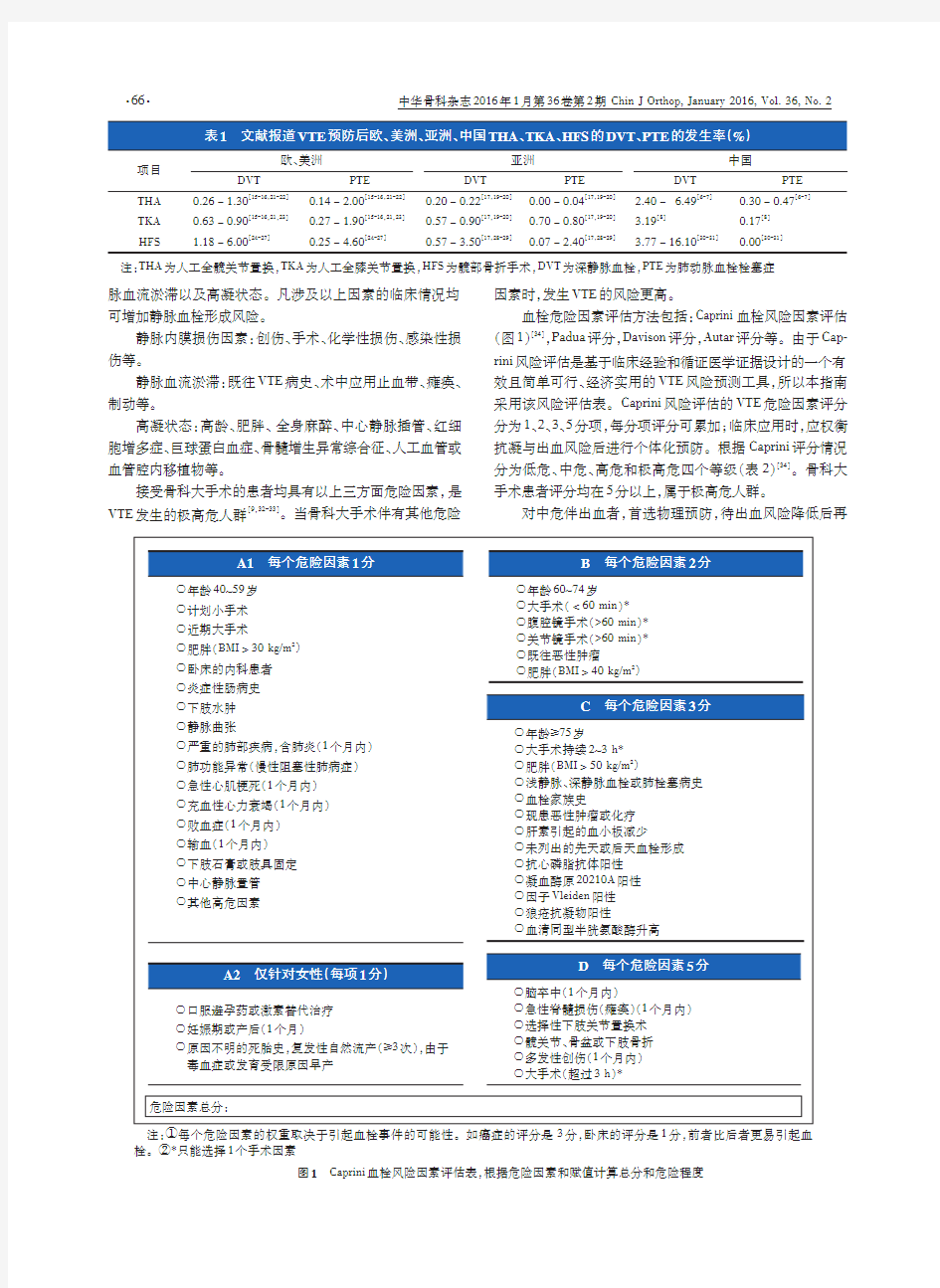 中国骨科大手术静脉血栓栓塞症预防指南(2016年修订)