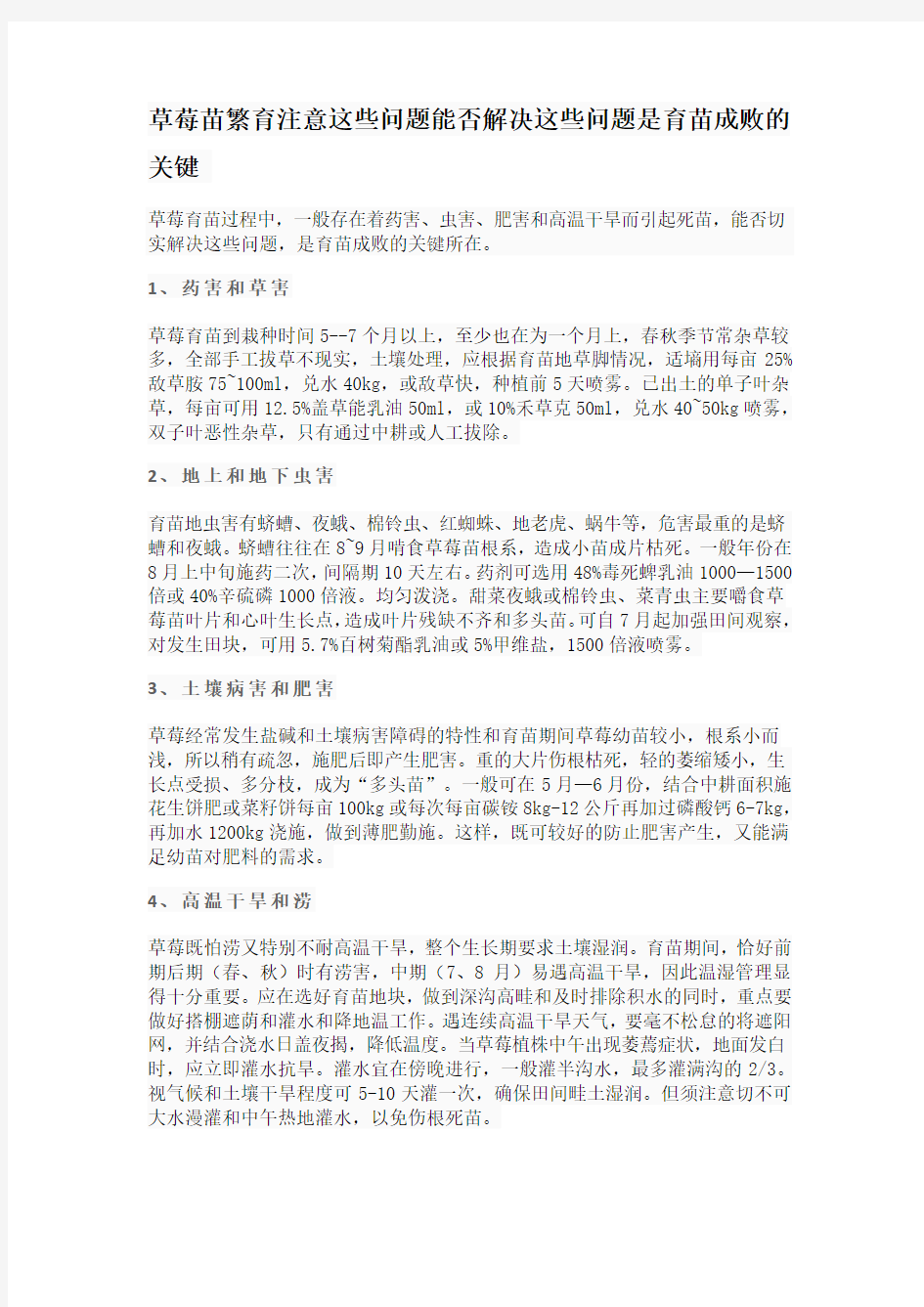 草莓苗繁育注意这些问题能否解决这些问题是育苗成败的关键