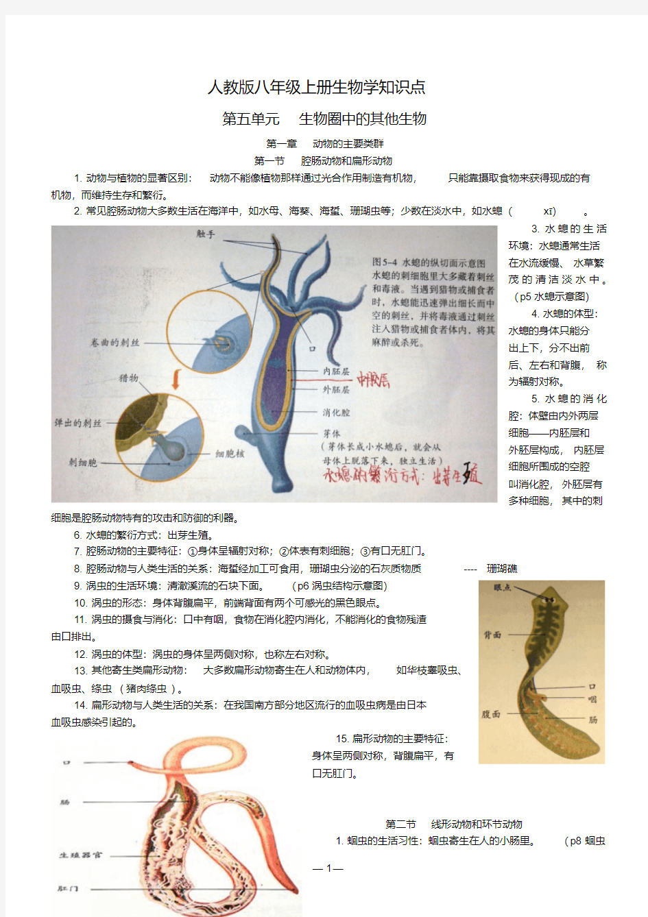 人教版八年级上册生物学知识点资料