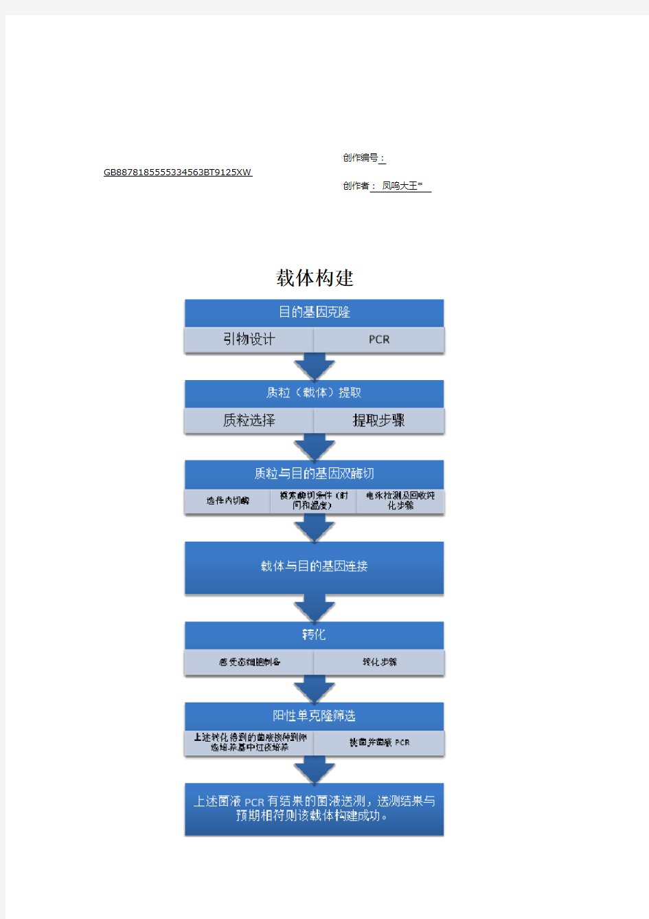 载体构建的基本步骤