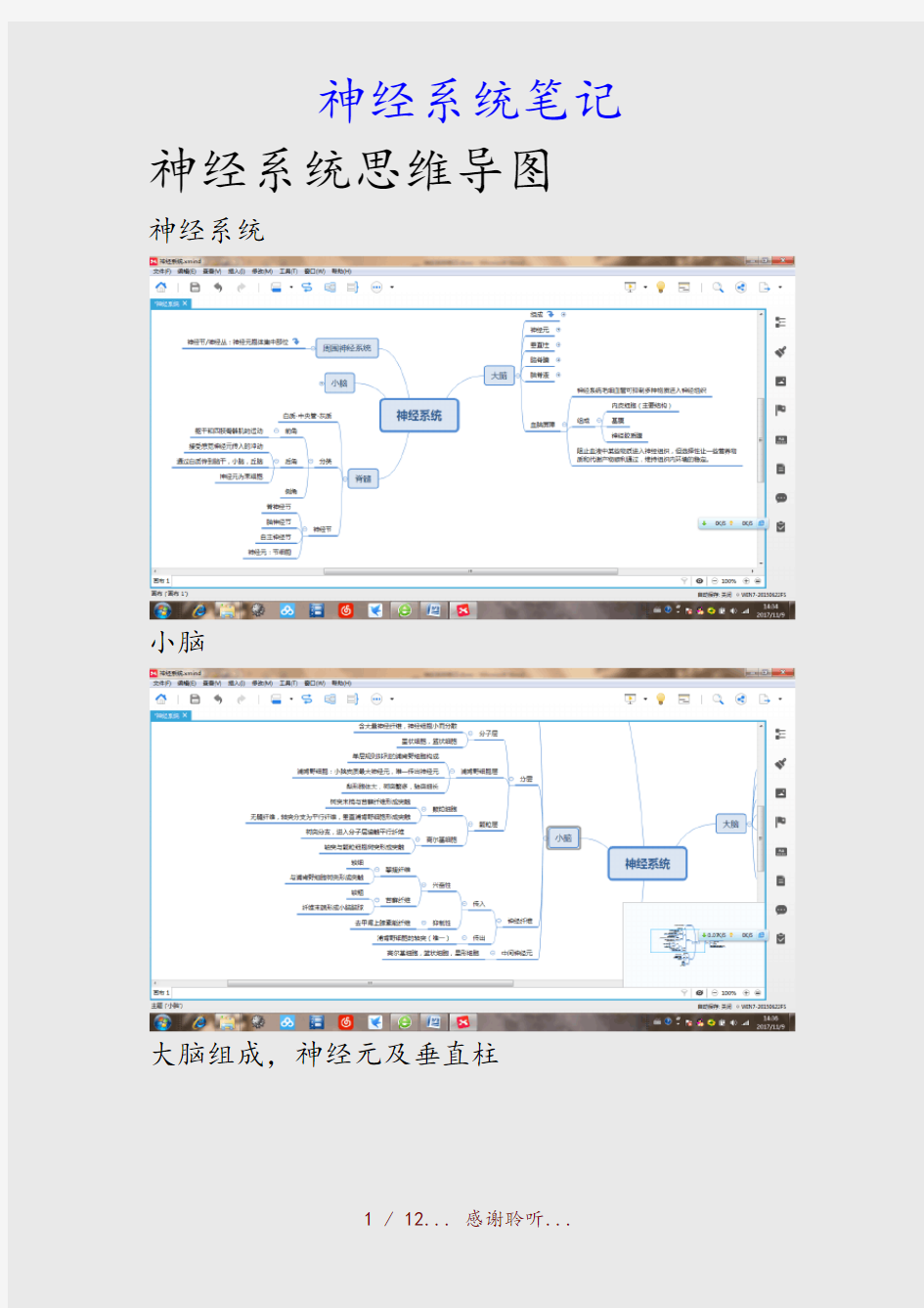 最新神经系统笔记(精品收藏)