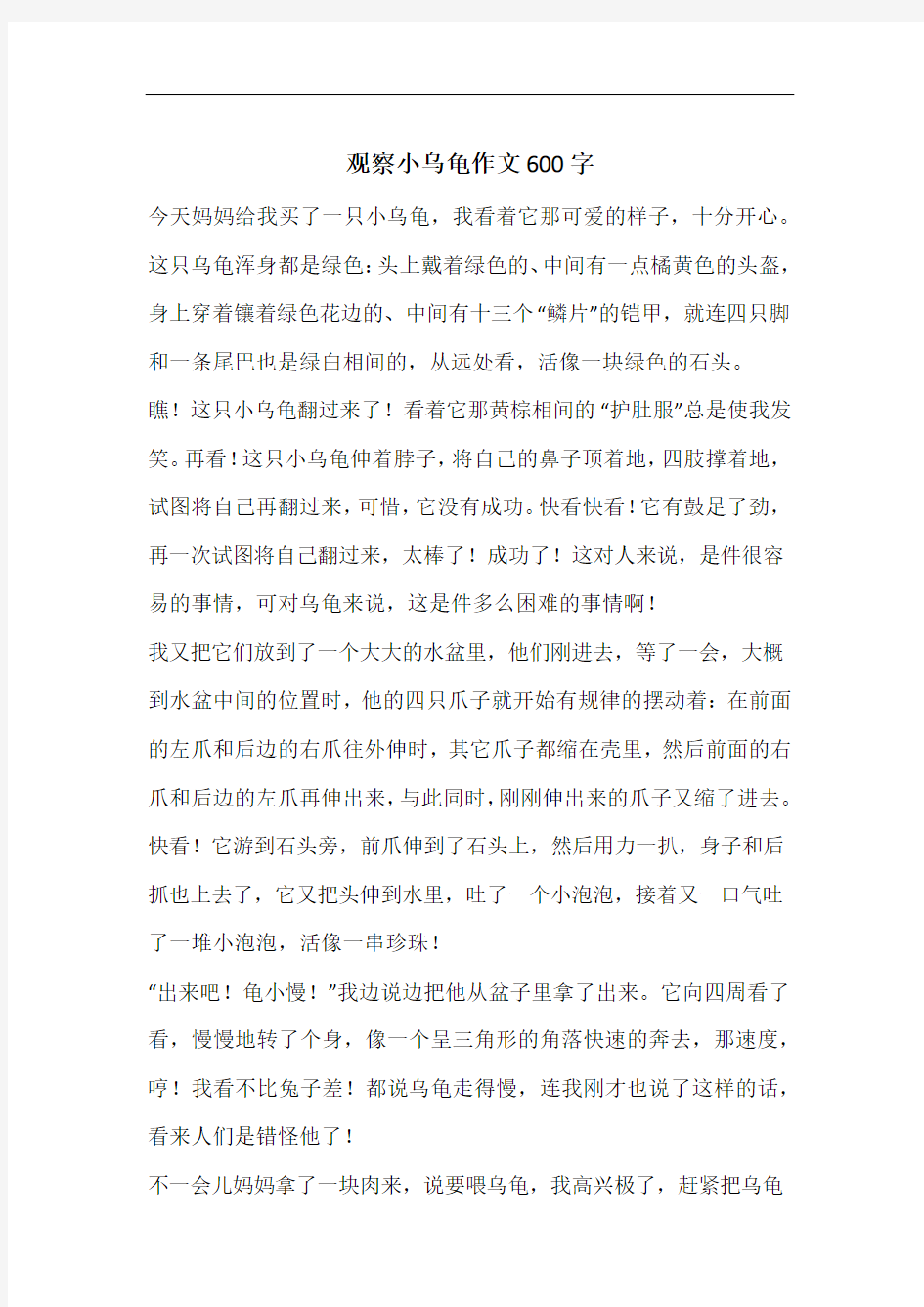 观察小乌龟作文600字