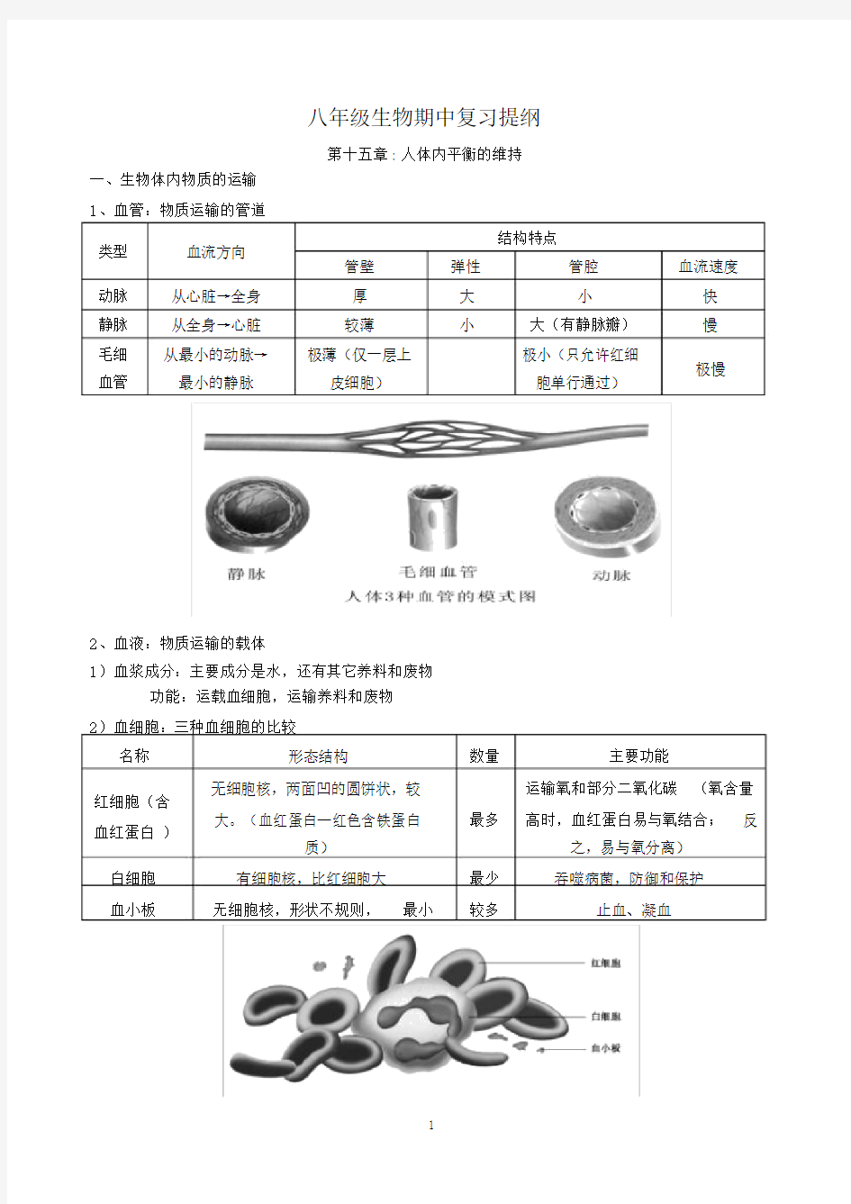 (完整word版)苏科版生物八年级上册期末复习提纲教案.doc