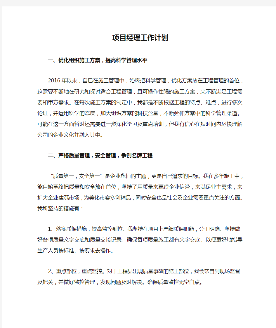 项目经理工作计划