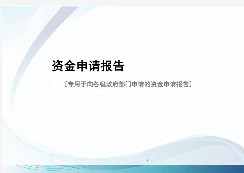 政府部门资金申请报告