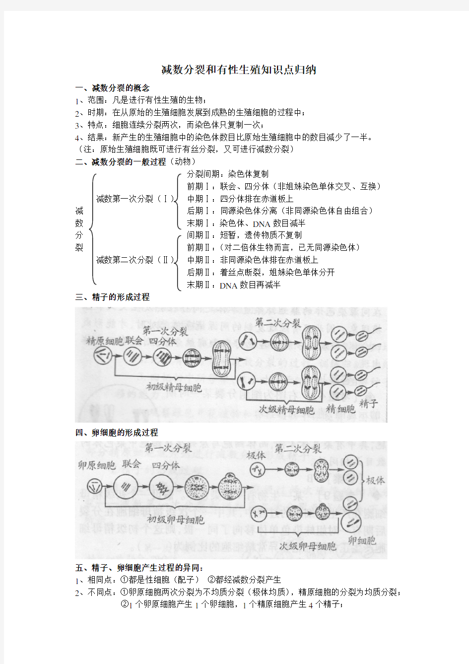 减数分裂知识点归纳