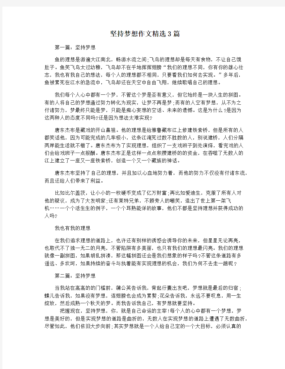 坚持梦想作文精选3篇