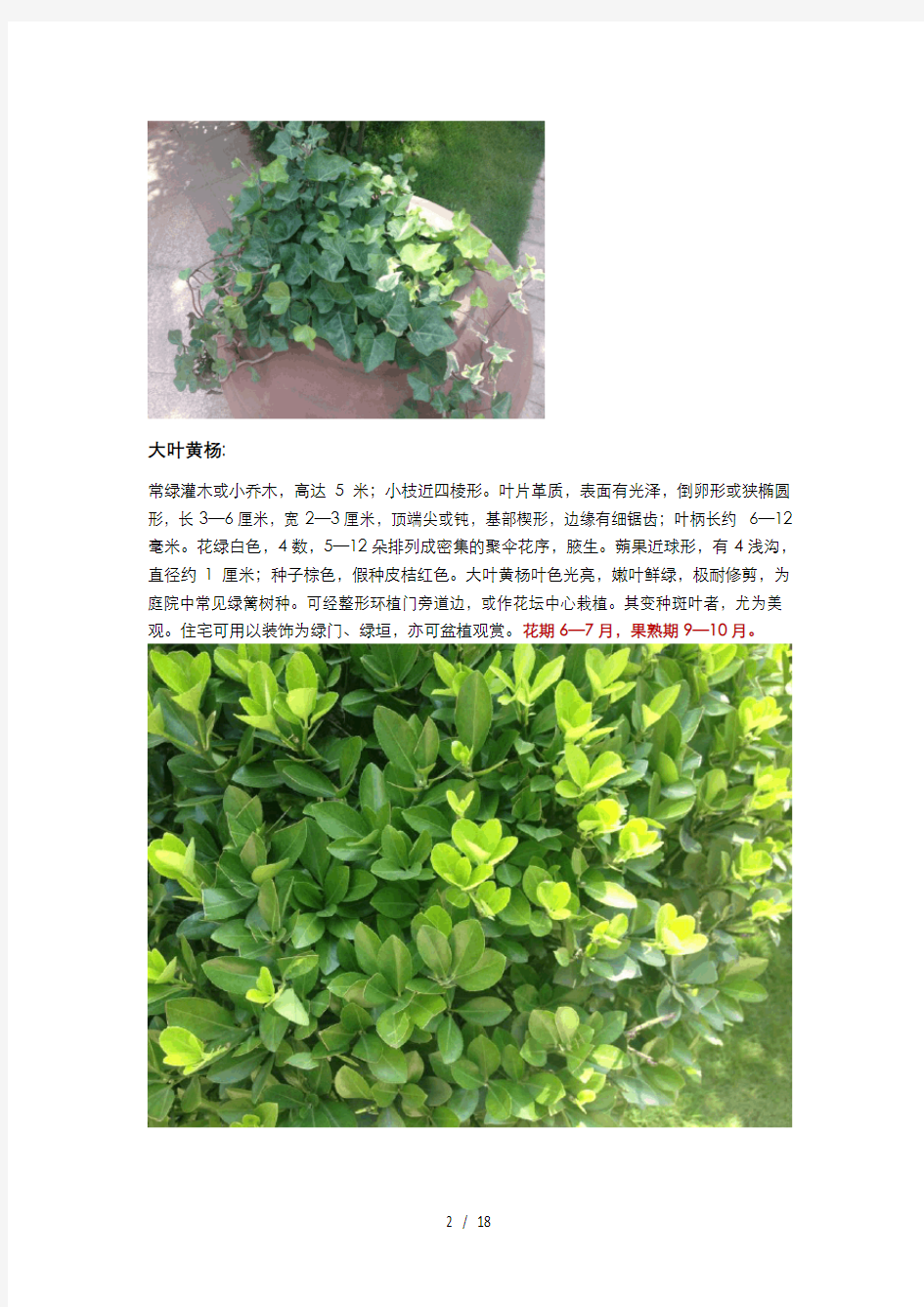 常见园林景观植物一览