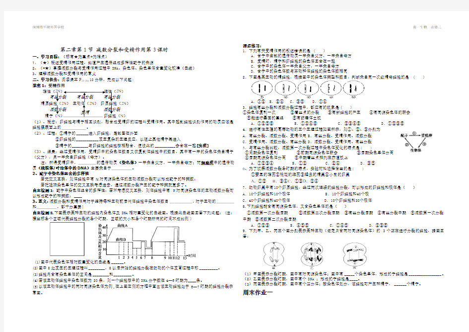 第二章第1节 减数分裂和受精作用  第3课时