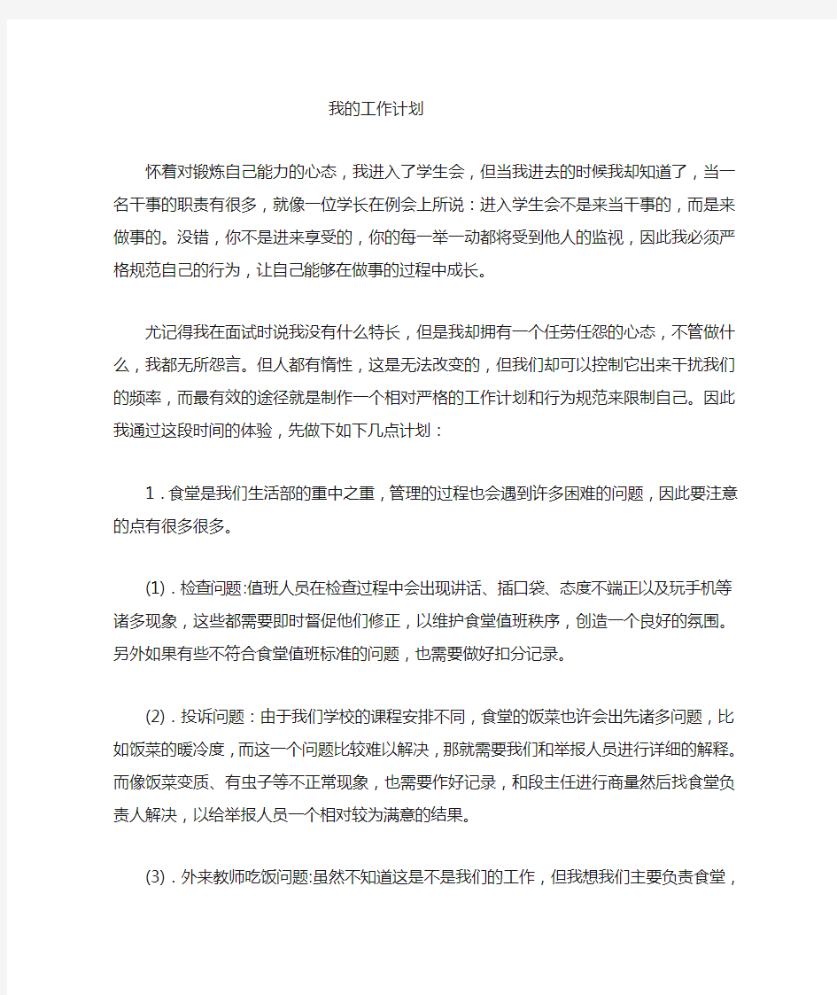 我的未来工作计划