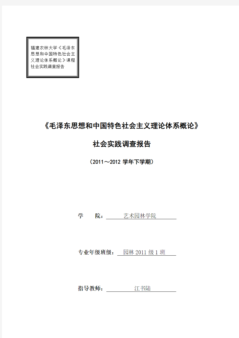 毛概课程论文、社会实践调查报告格式