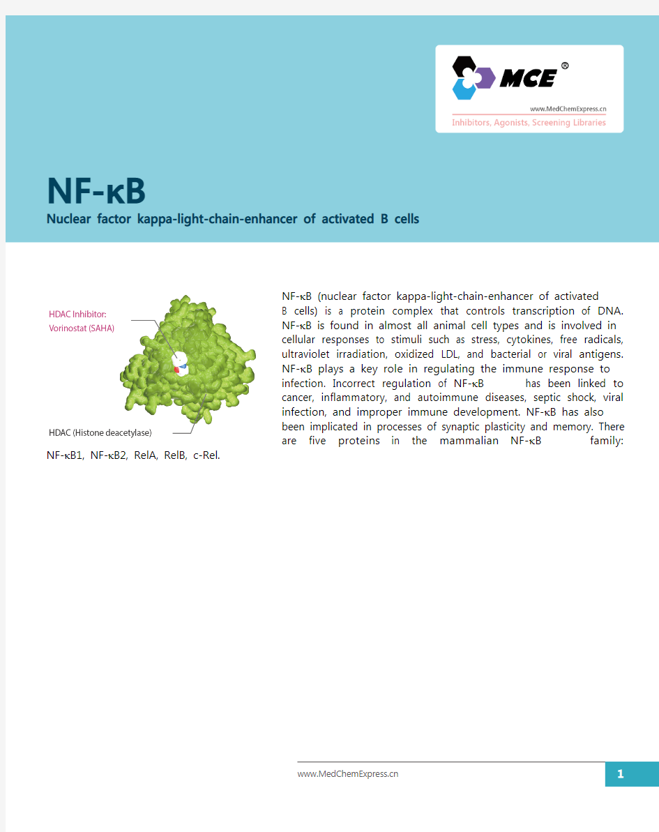 Nuclear_factor_kappa-light-chain-enhancer_of_activated_B_cells抑制剂_激动剂_MCE