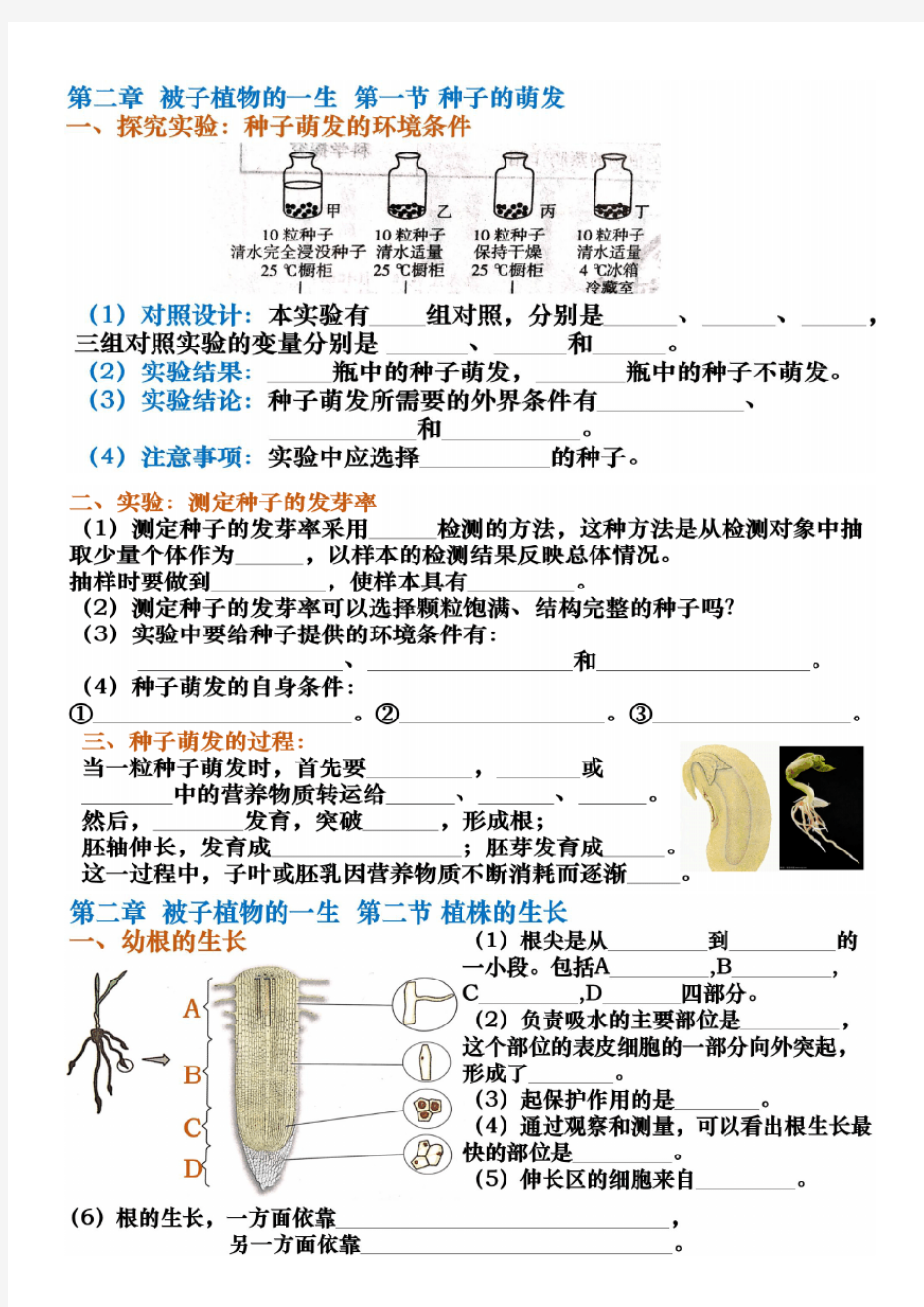 第二章 被子植物的一生(无答案) 