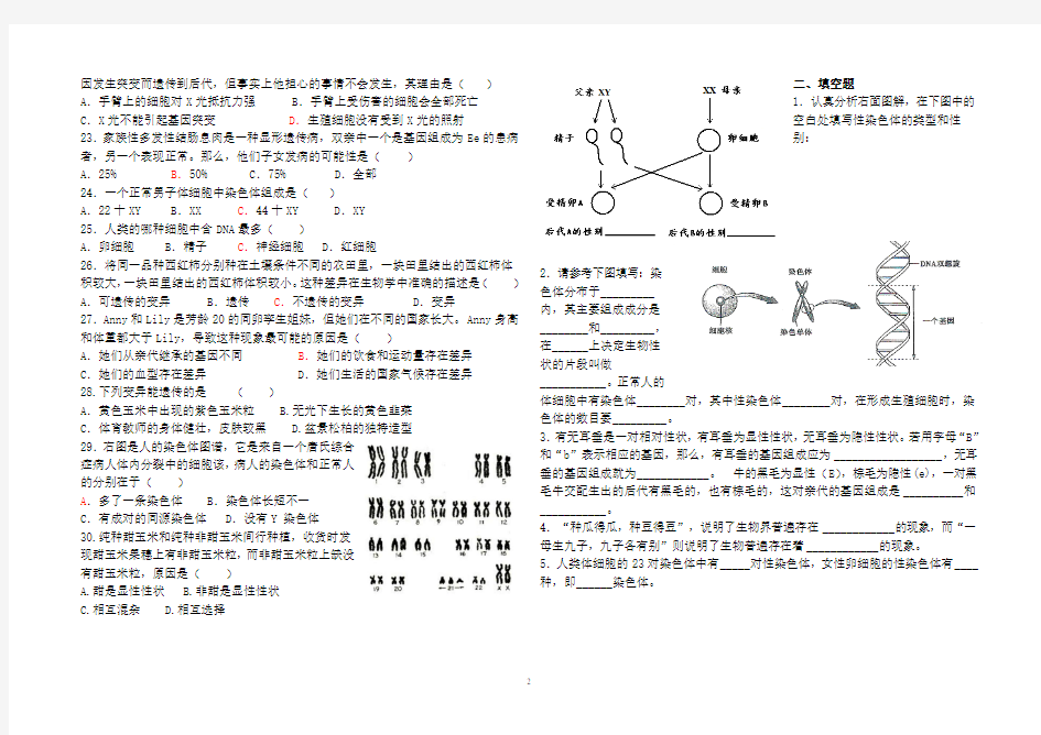 生物的遗传和变异 (1)