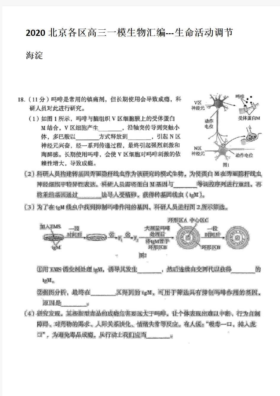 2020北京各区高三一模生物汇编---生命活动调节(含答案)部分试题是扫描版 (1)