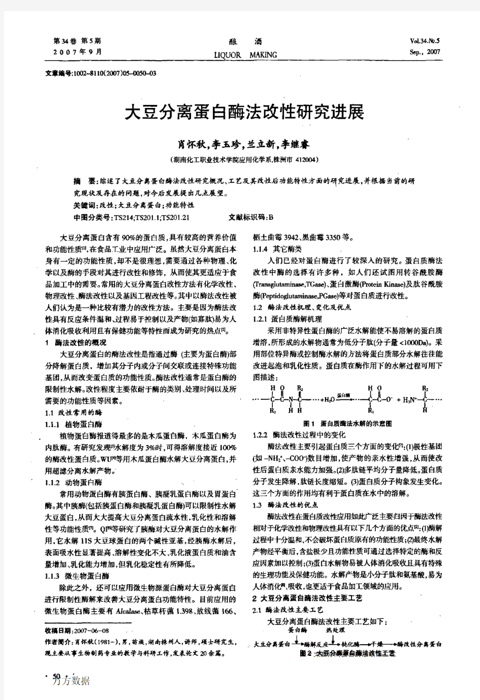 大豆分离蛋白酶法改性研究进展