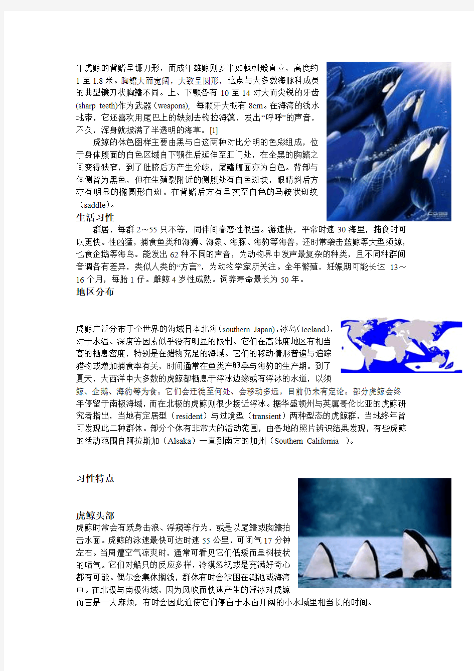 虎鲸,海洋生物论文