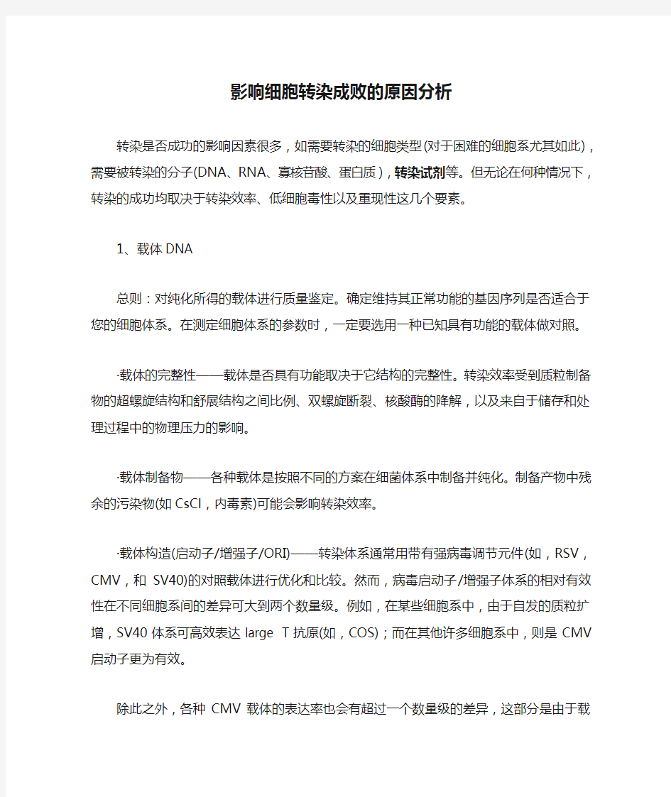 影响细胞转染成败的原因分析