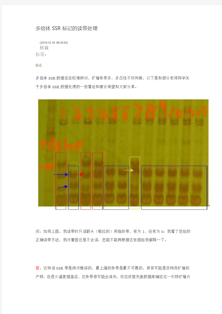 多倍体SSR标记的读带处理