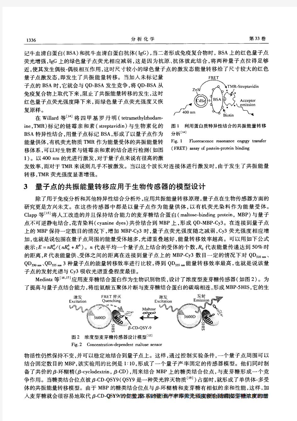 量子点的荧光共振能量转移在生物分析中的应用