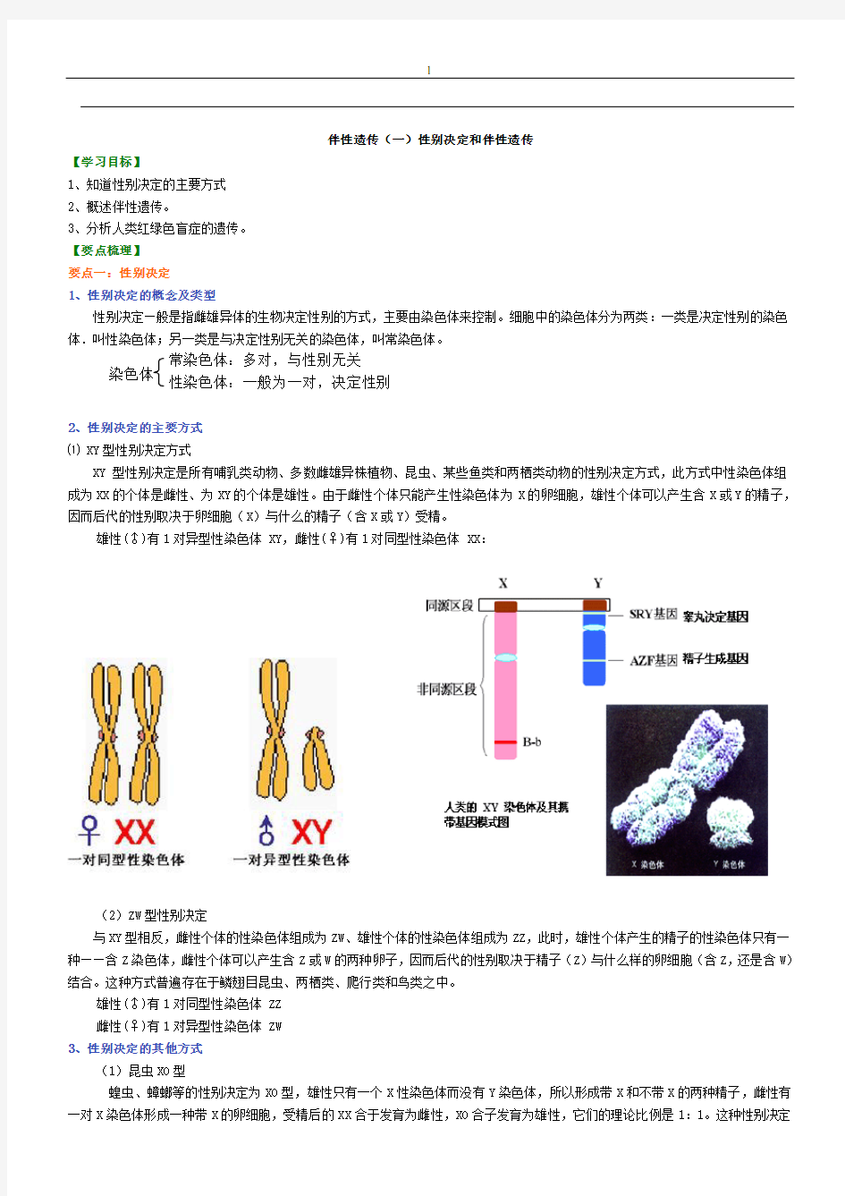 伴性遗传一知识讲解