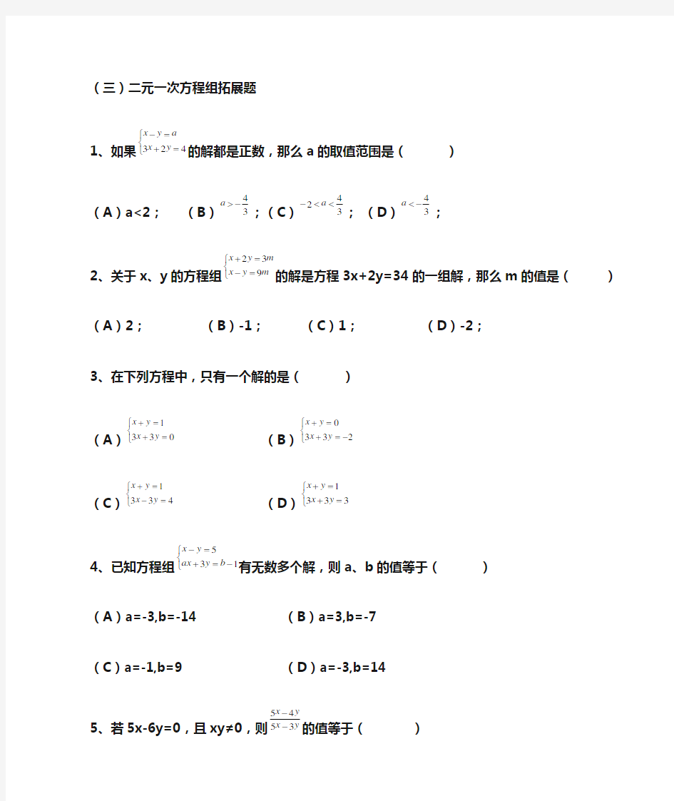 (三)二元一次方程组拓展题(4页)