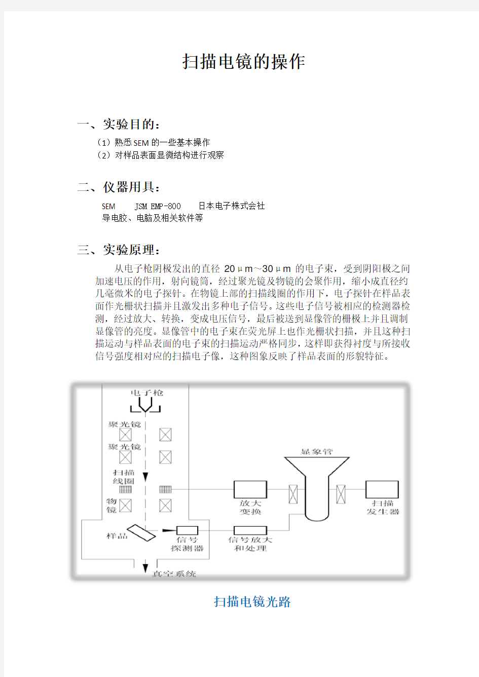 SEM实验报告