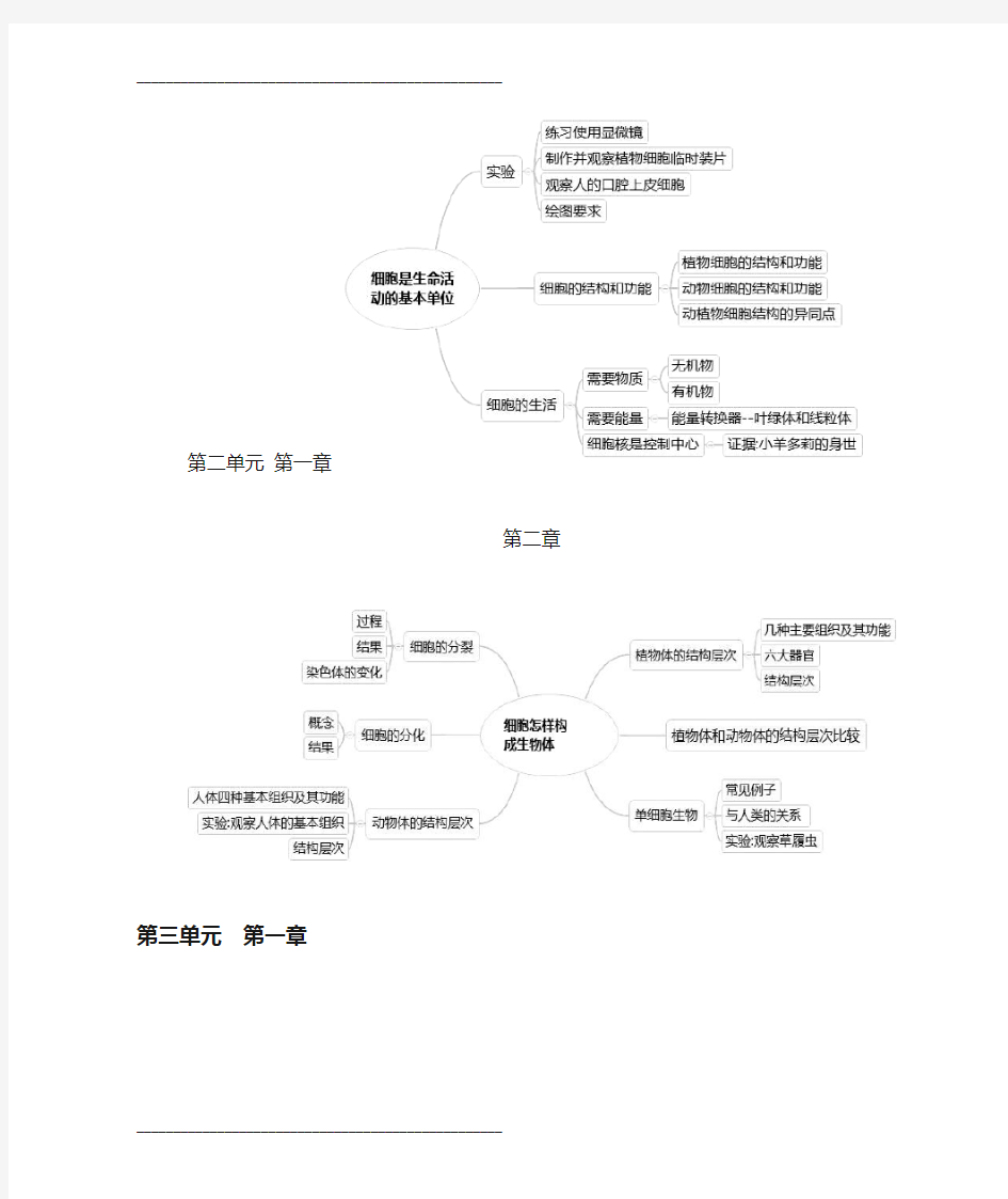 七年级上册生物思维导图