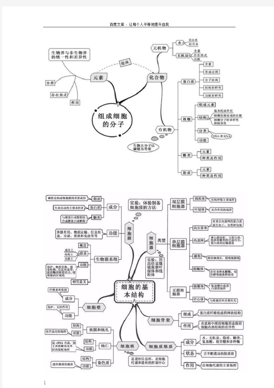 高中生物20张思维导图