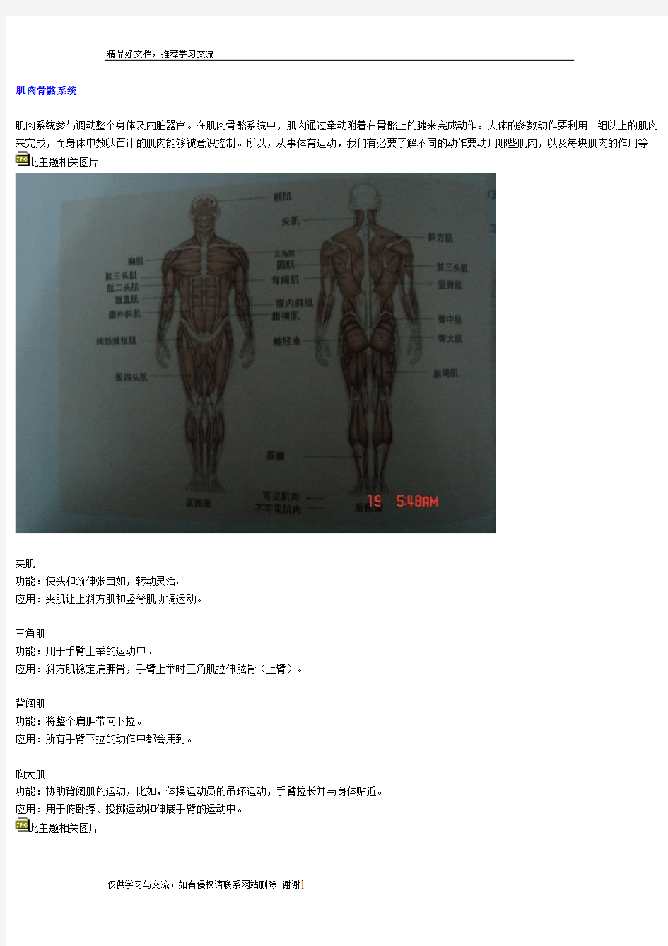 最新各块肌肉功能与图解