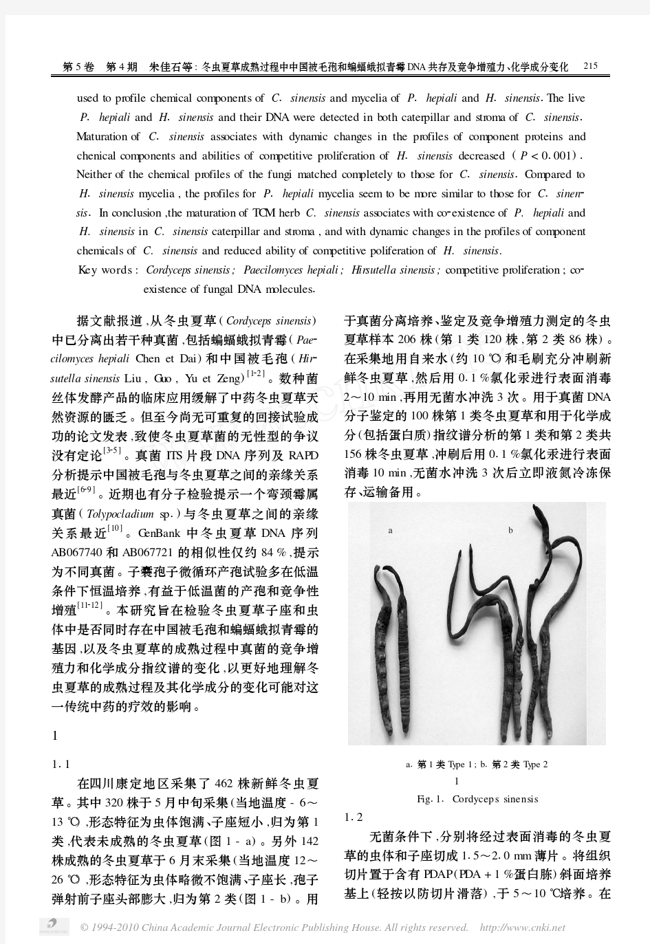 _冬虫夏草成熟过程中中国被毛孢和蝙蝠蛾拟青霉DNA共存及竞争增殖力、化学成分变化 (1)