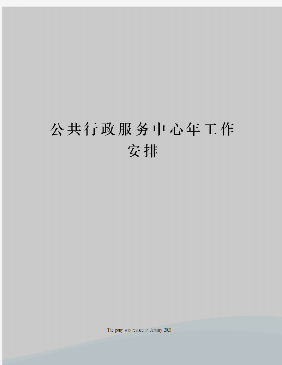 公共行政服务中心年工作安排