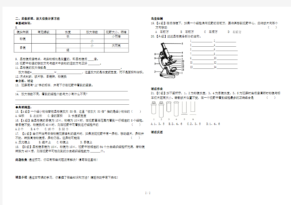 显微镜使用(教学设计)