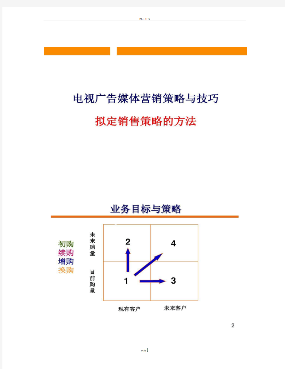 电视广告媒体营销策略与技巧