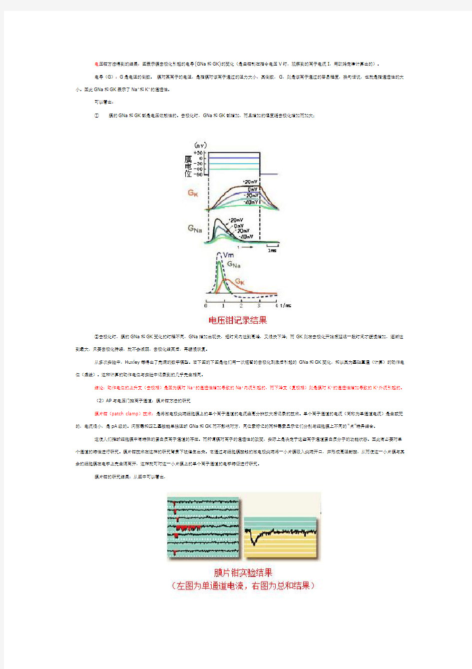 动作电位及其形成原理