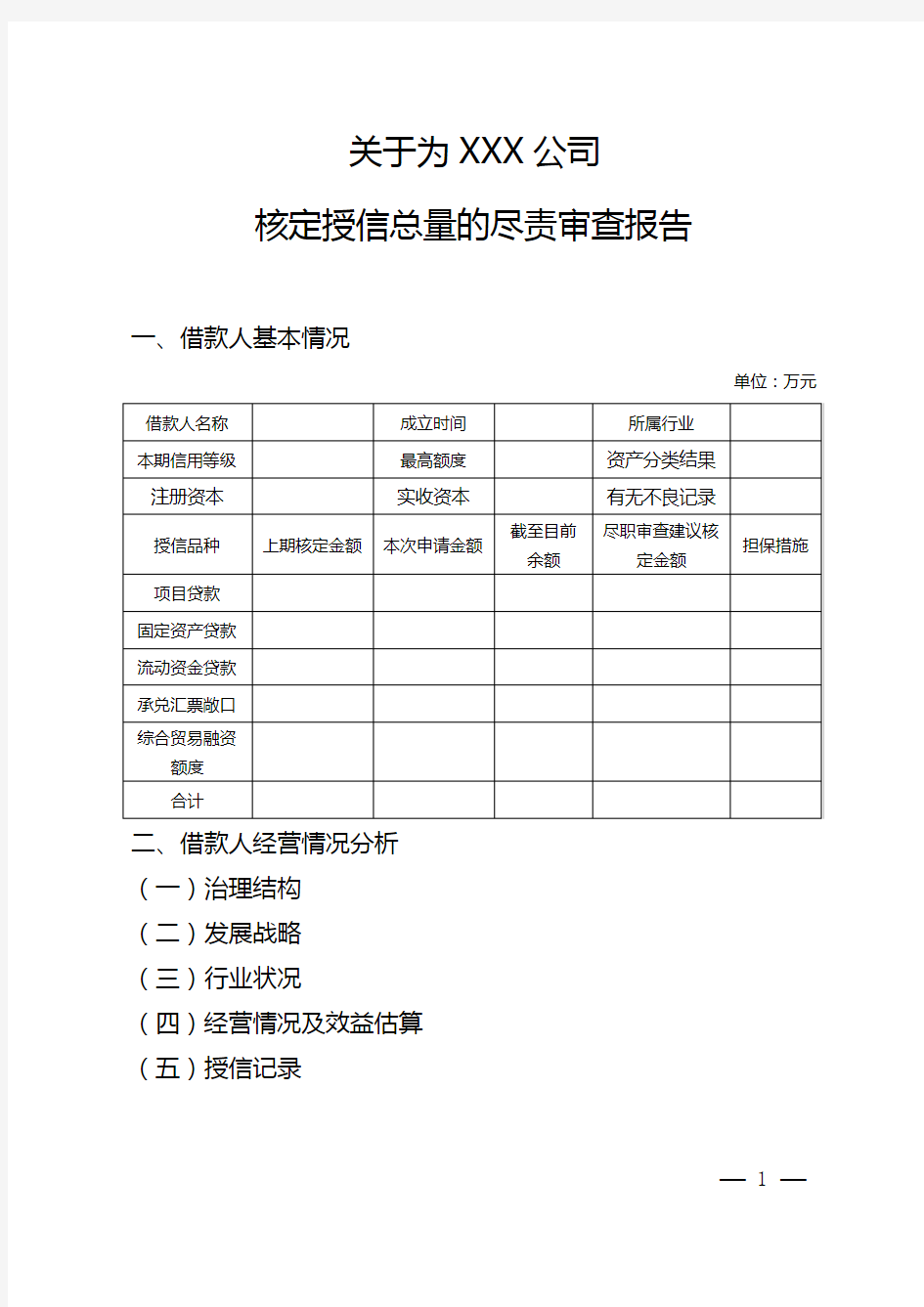 授信审查报告模板