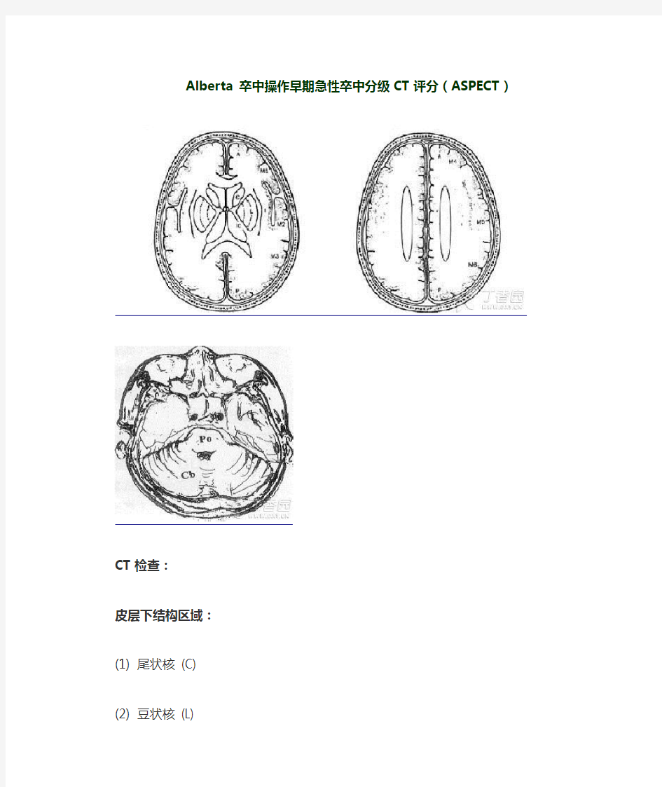 aspects评分量表