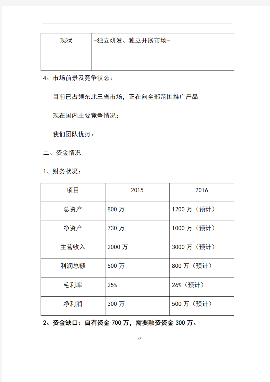 融资分析报告