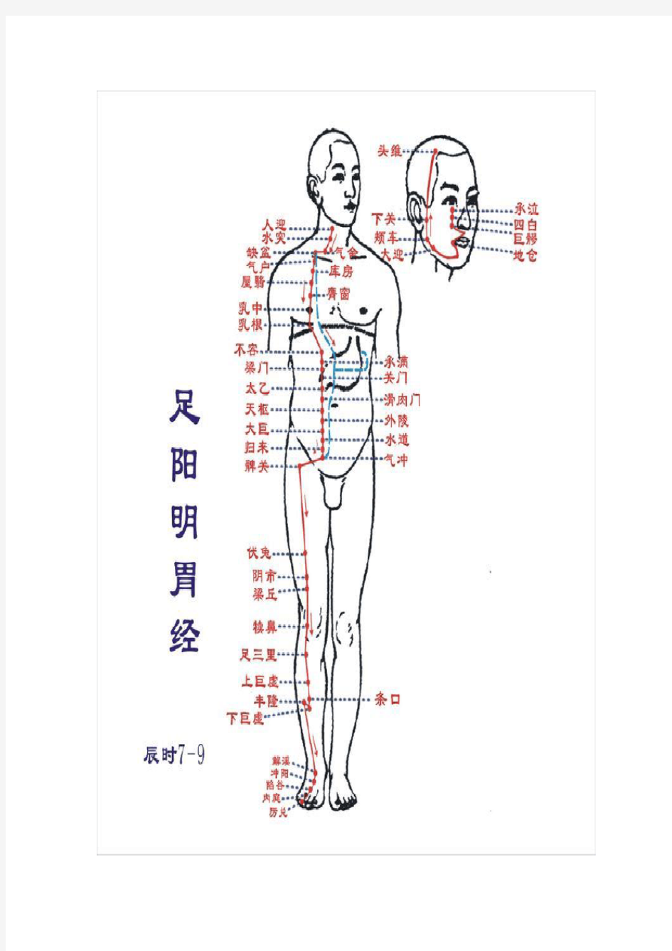 人体经络图(彩色,适合打印挂墙上)