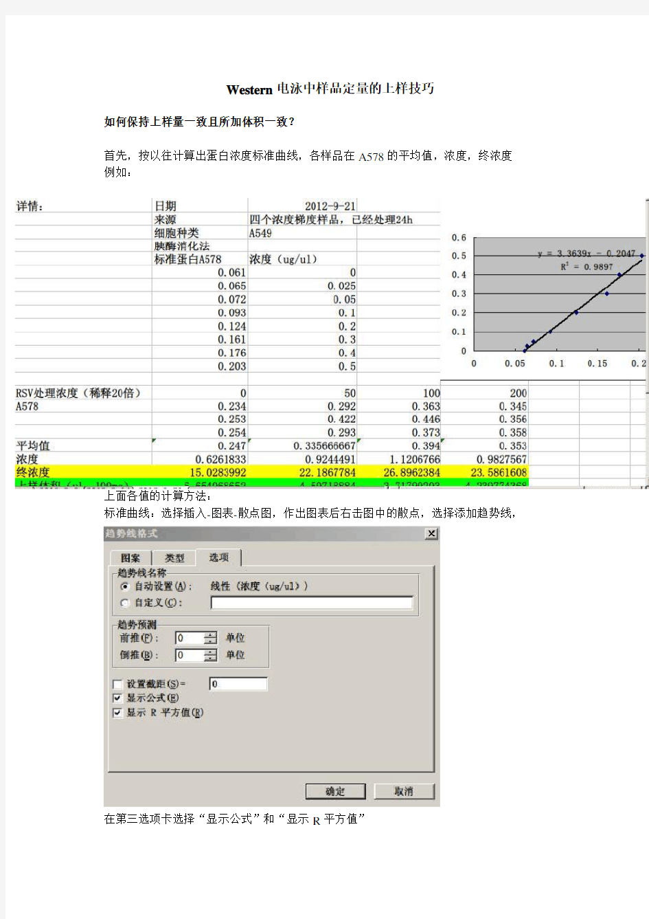 Western电泳中样品定量的上样技巧